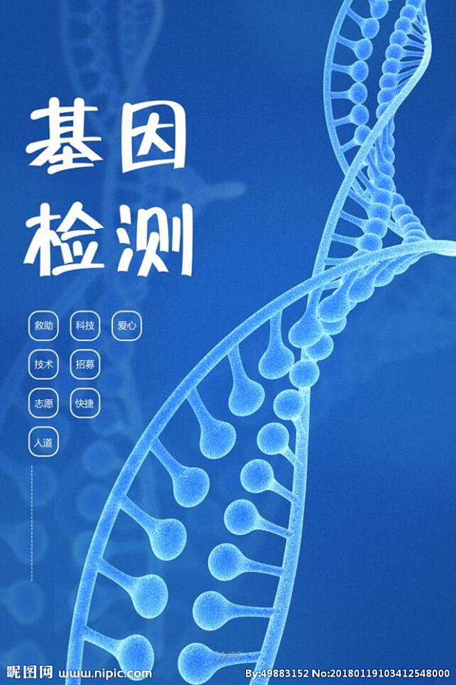 健康管理，打造健康生活秘笈