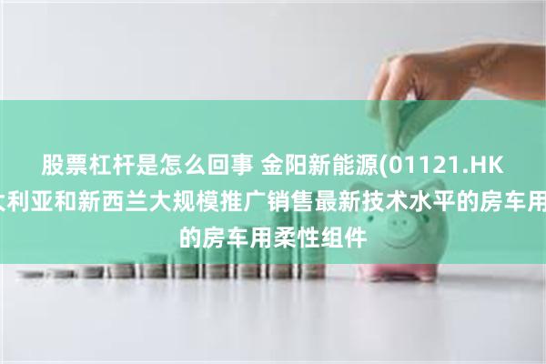 股票杠杆是怎么回事 金阳新能源(01121.HK)拟在澳大利亚和新西兰大规模推广销售最新技术水平的房车用柔性组件