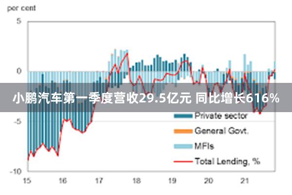 小鹏汽车第一季度营收29.5亿元 同比增长616%