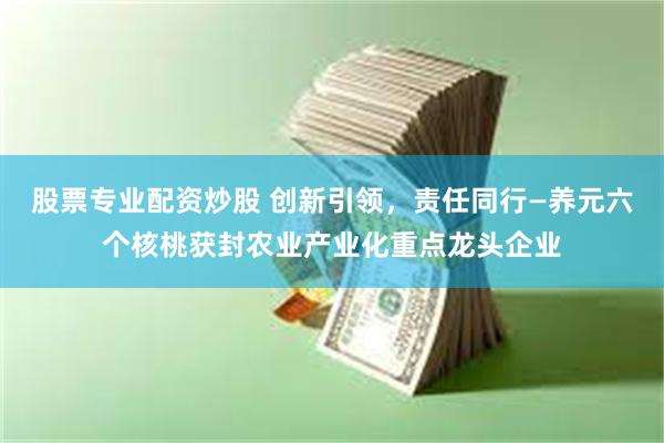 股票专业配资炒股 创新引领，责任同行—养元六个核桃获封农业产业化重点龙头企业