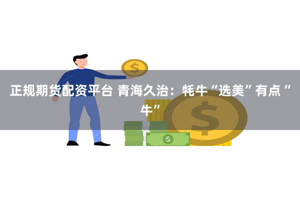 正规期货配资平台 青海久治：牦牛“选美”有点“牛”
