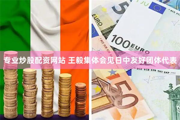 专业炒股配资网站 王毅集体会见日中友好团体代表