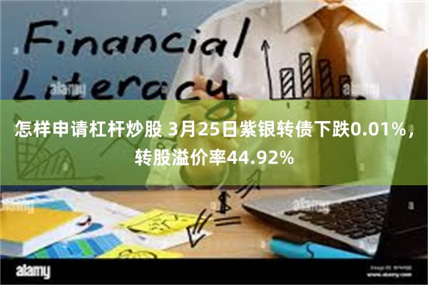 怎样申请杠杆炒股 3月25日紫银转债下跌0.01%，转股溢价率44.92%