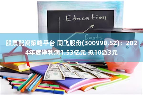 股票配资策略平台 同飞股份(300990.SZ)：2024年度净利润1.53亿元 拟10派3元