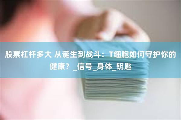 股票杠杆多大 从诞生到战斗：T细胞如何守护你的健康？_信号_身体_钥匙