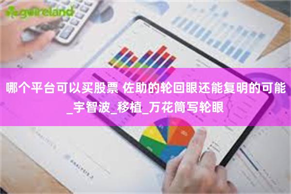 哪个平台可以买股票 佐助的轮回眼还能复明的可能_宇智波_移植_万花筒写轮眼