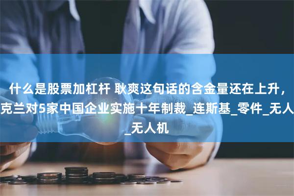 什么是股票加杠杆 耿爽这句话的含金量还在上升，乌克兰对5家中国企业实施十年制裁_连斯基_零件_无人机