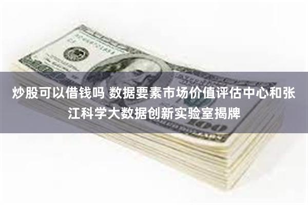 炒股可以借钱吗 数据要素市场价值评估中心和张江科学大数据创新实验室揭牌