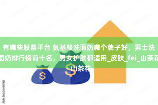 有哪些股票平台 氨基酸洗面奶哪个牌子好，男士洗面奶排行榜前十名，男女护肤都适用_皮肤_fei_山茶花